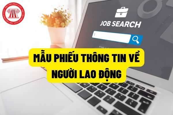 TRIỂN KHAI KẾ HOẠCH THU THẬP, CHỈNH SỬA THÔNG TIN LAO ĐỘNG NĂM 2024|https://danhthang.hiephoa.bacgiang.gov.vn/chi-tiet-tin-tuc/-/asset_publisher/M0UUAFstbTMq/content/trien-khai-ke-hoach-thu-thap-chinh-sua-thong-tin-lao-ong-nam-2024